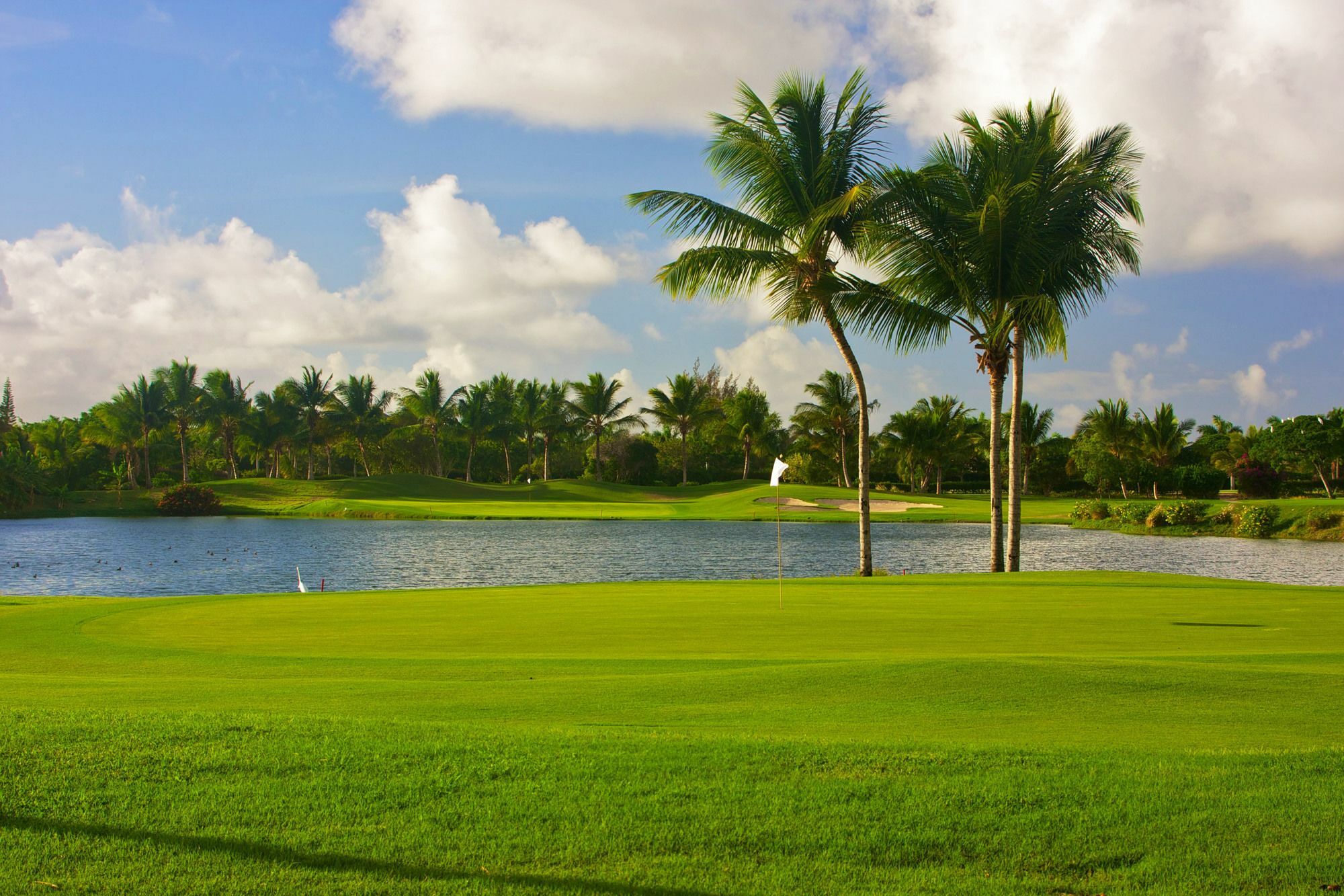 Royal Service At Paradisus Palma Real (Adults Only) Punta Cana Exterior foto